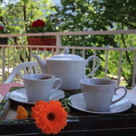 Apartman Vesna Virpazar Extérieur photo