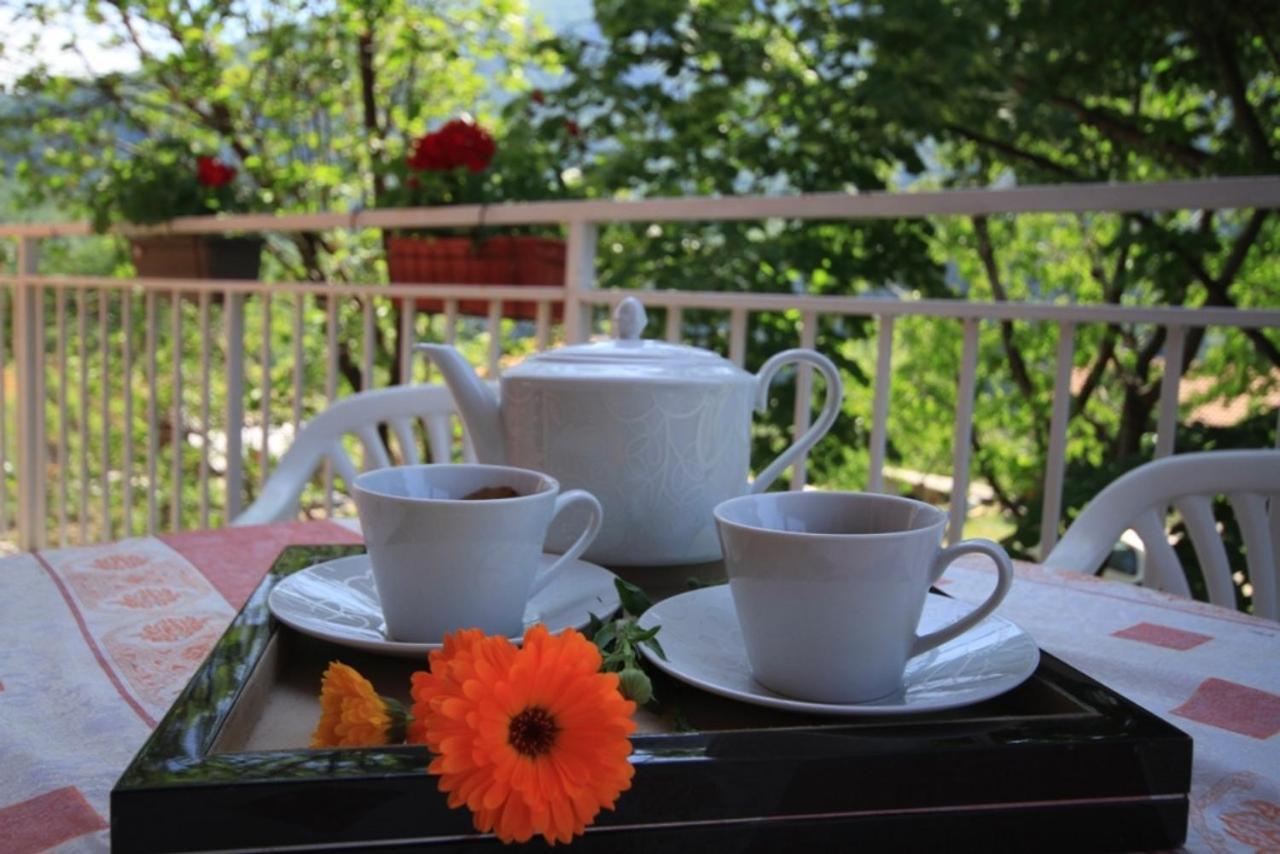 Apartman Vesna Virpazar Extérieur photo