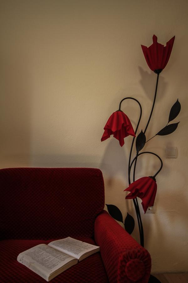 Apartman Vesna Virpazar Extérieur photo