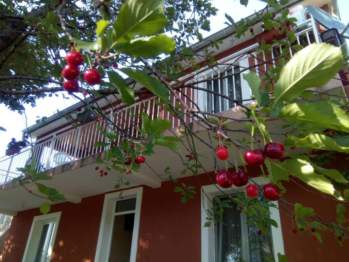 Apartman Vesna Virpazar Extérieur photo