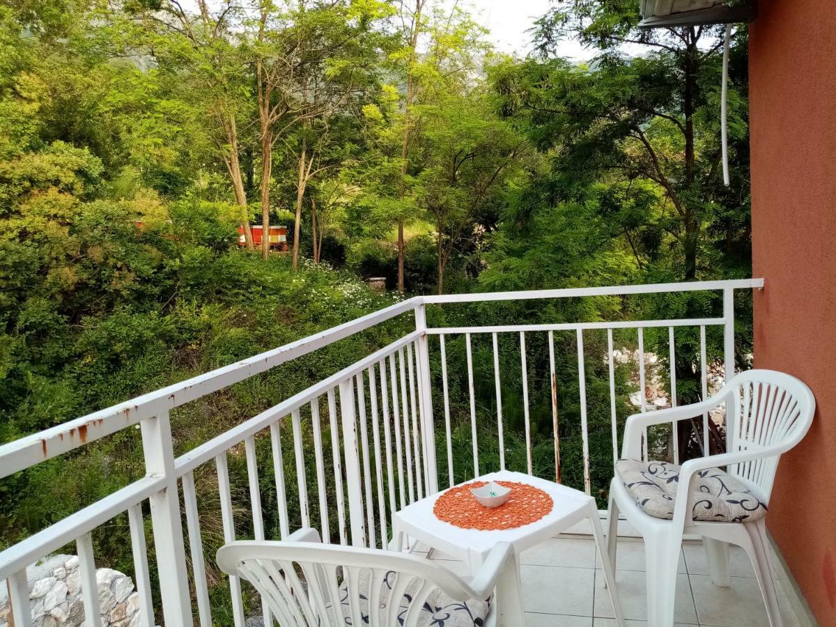 Apartman Vesna Virpazar Extérieur photo